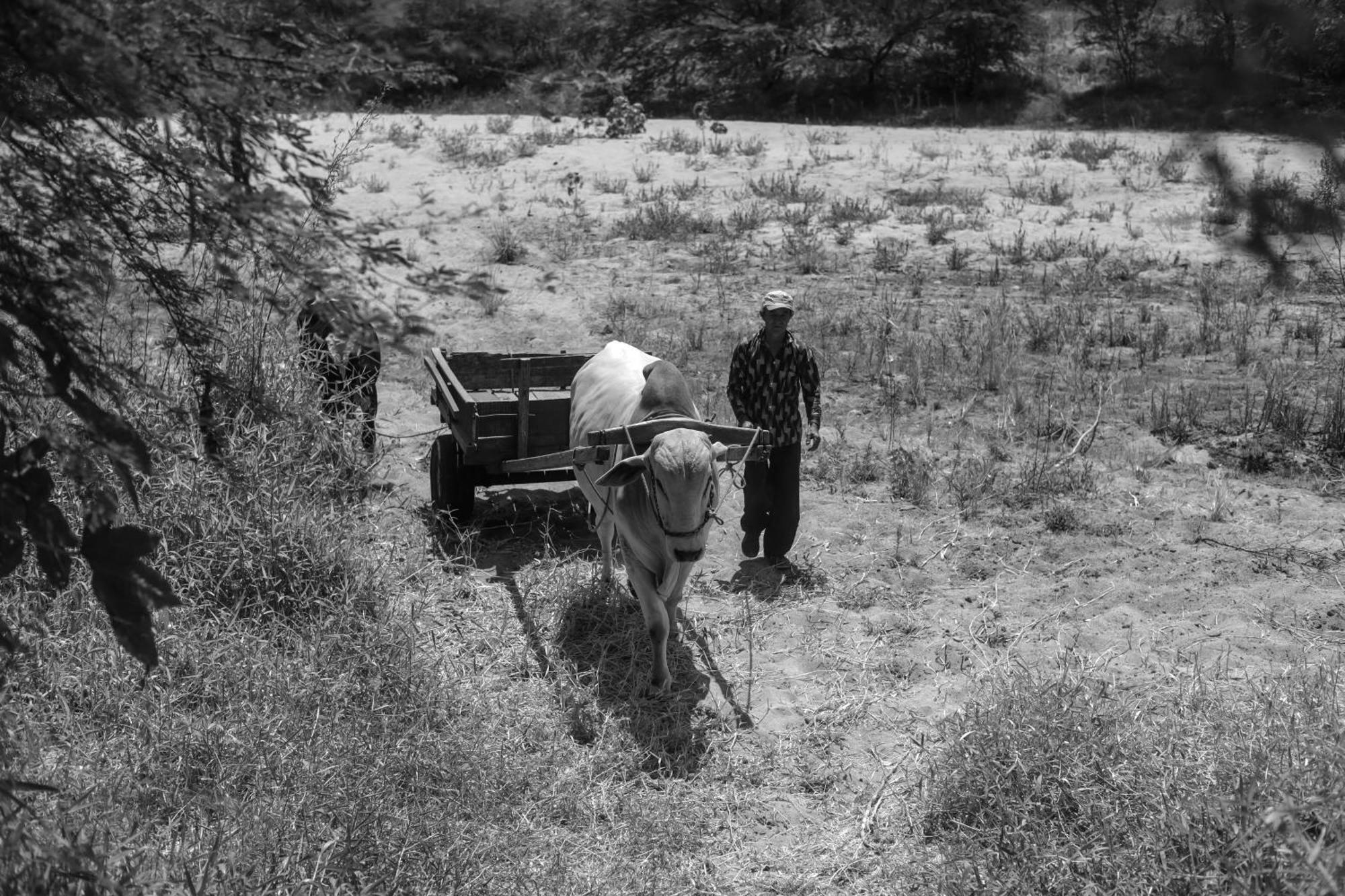 Fazenda Poco Das Pedras São João do Cariri Eksteriør billede