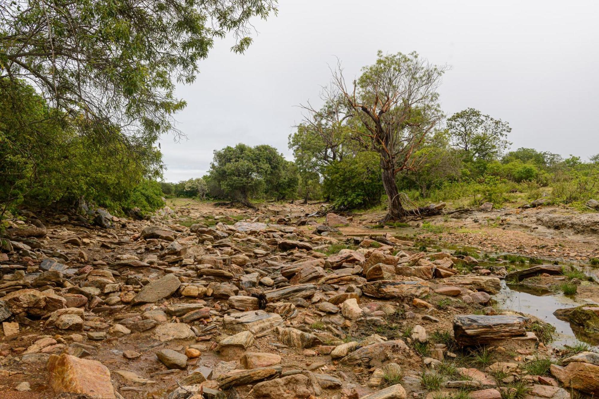 Fazenda Poco Das Pedras São João do Cariri Eksteriør billede